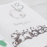The Incredible 123 Book