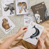 Alphabet Animals Flash Cards